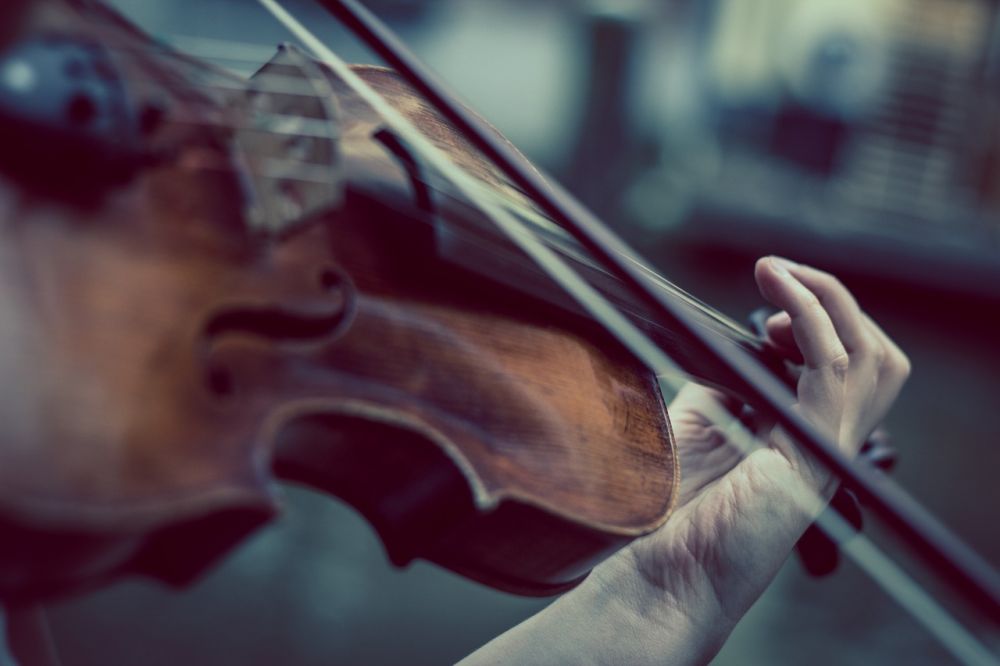 Violinbygger: Kunsthåndværk og musikalsk principper
