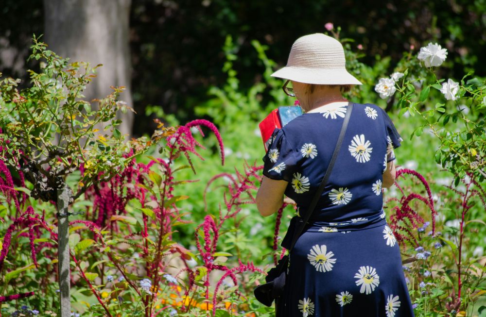Anlægsgartner i Holbæk: En drømmehave