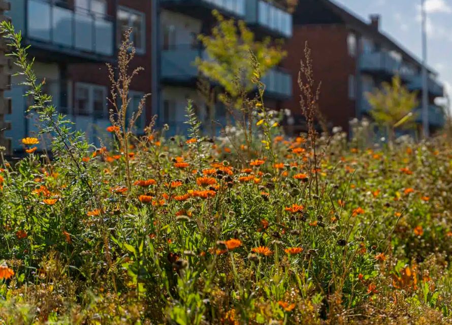 Gartner odense  sådan får du et uderum, der forbinder mennesker og natur